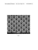 NANOSCALE COAXIAL ELECTRODE ARRAYS AND METHODS THEREOF diagram and image