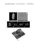 NANOSCALE COAXIAL ELECTRODE ARRAYS AND METHODS THEREOF diagram and image