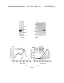 Nicotinamide Adenine Dinucleotide Gene Encoding Fluorescent Probe,     Preparation Method Therefor and Application Thereof diagram and image