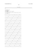 Nicotinamide Adenine Dinucleotide Gene Encoding Fluorescent Probe,     Preparation Method Therefor and Application Thereof diagram and image