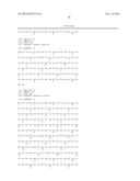 Nicotinamide Adenine Dinucleotide Gene Encoding Fluorescent Probe,     Preparation Method Therefor and Application Thereof diagram and image