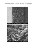 Pigmented, Fine-Structured, Tribological Composite Material diagram and image