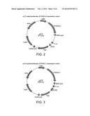 Composition for Controlled Ovarian Stimulation diagram and image