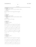 Angiogenic active lytic peptides diagram and image