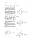 INSECTICIDAL TRIAZINONE DERIVATIVES diagram and image