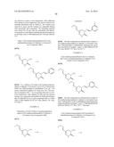 INSECTICIDAL TRIAZINONE DERIVATIVES diagram and image