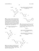 INSECTICIDAL TRIAZINONE DERIVATIVES diagram and image