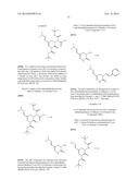 INSECTICIDAL TRIAZINONE DERIVATIVES diagram and image