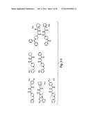 Small Molecule Inhibitors of Ebola and Lassa Fever Viruses diagram and image