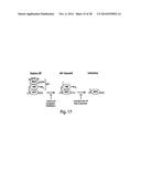 Small Molecule Inhibitors of Ebola and Lassa Fever Viruses diagram and image