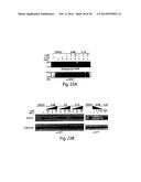 Small Molecule Inhibitors of Ebola and Lassa Fever Viruses diagram and image