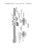 Small Molecule Inhibitors of Ebola and Lassa Fever Viruses diagram and image