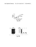 Small Molecule Inhibitors of Ebola and Lassa Fever Viruses diagram and image