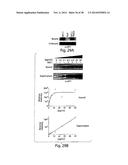 Small Molecule Inhibitors of Ebola and Lassa Fever Viruses diagram and image