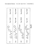 Small Molecule Inhibitors of Ebola and Lassa Fever Viruses diagram and image