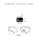 Small Molecule Inhibitors of Ebola and Lassa Fever Viruses diagram and image