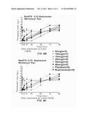 Neosaxitoxin Combination Formulations for Prolonged Local Anesthesia diagram and image