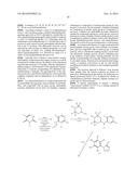 Protein Kinase C Inhibitors and Uses Thereof diagram and image