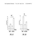 DIAGNOSIS AND TREATMENT OF TAXANE-RESISTANT CANCERS diagram and image