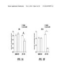 DIAGNOSIS AND TREATMENT OF TAXANE-RESISTANT CANCERS diagram and image