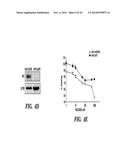 DIAGNOSIS AND TREATMENT OF TAXANE-RESISTANT CANCERS diagram and image