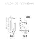 DIAGNOSIS AND TREATMENT OF TAXANE-RESISTANT CANCERS diagram and image