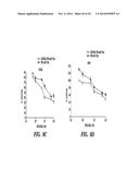 DIAGNOSIS AND TREATMENT OF TAXANE-RESISTANT CANCERS diagram and image