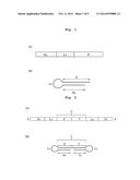 SINGLE-STRANDED NUCLEIC ACID MOLECULE HAVING AMINO ACID BACKBONE diagram and image