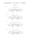 SINGLE-STRANDED NUCLEIC ACID MOLECULE HAVING AMINO ACID BACKBONE diagram and image