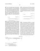 SINGLE-STRANDED NUCLEIC ACID MOLECULE HAVING AMINO ACID BACKBONE diagram and image