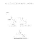 PREDICTIVE MARKER OF DNMT1 INHIBITOR THERAPEUTIC EFFICACY AND METHODS OF     USING THE MARKER diagram and image