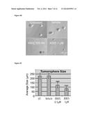 PREDICTIVE MARKER OF DNMT1 INHIBITOR THERAPEUTIC EFFICACY AND METHODS OF     USING THE MARKER diagram and image