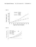 PREDICTIVE MARKER OF DNMT1 INHIBITOR THERAPEUTIC EFFICACY AND METHODS OF     USING THE MARKER diagram and image