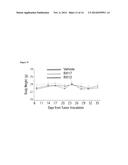 PREDICTIVE MARKER OF DNMT1 INHIBITOR THERAPEUTIC EFFICACY AND METHODS OF     USING THE MARKER diagram and image