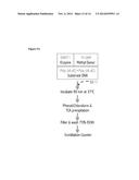 PREDICTIVE MARKER OF DNMT1 INHIBITOR THERAPEUTIC EFFICACY AND METHODS OF     USING THE MARKER diagram and image