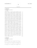 PREDICTIVE MARKER OF DNMT1 INHIBITOR THERAPEUTIC EFFICACY AND METHODS OF     USING THE MARKER diagram and image