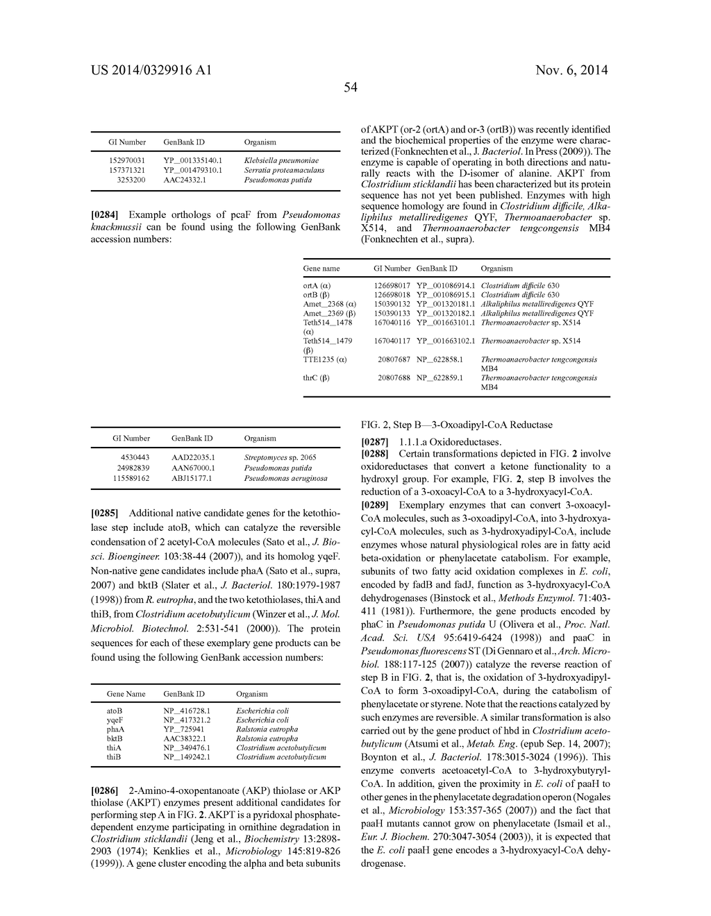 MICROORGANISMS AND METHODS FOR ENHANCING THE AVAILABILITY OF REDUCING     EQUIVALENTS IN THE PRESENCE OF METHANOL, AND FOR PRODUCING ADIPATE,     6-AMINOCAPROATE, HEXAMETHYLENEDIAMINE OR CAPROLACTAM RELATED THERETO - diagram, schematic, and image 59