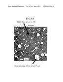 PLANT DERIVED PLASTIC BLEND AND A METHOD OF MANUFACTURING THE SAME diagram and image