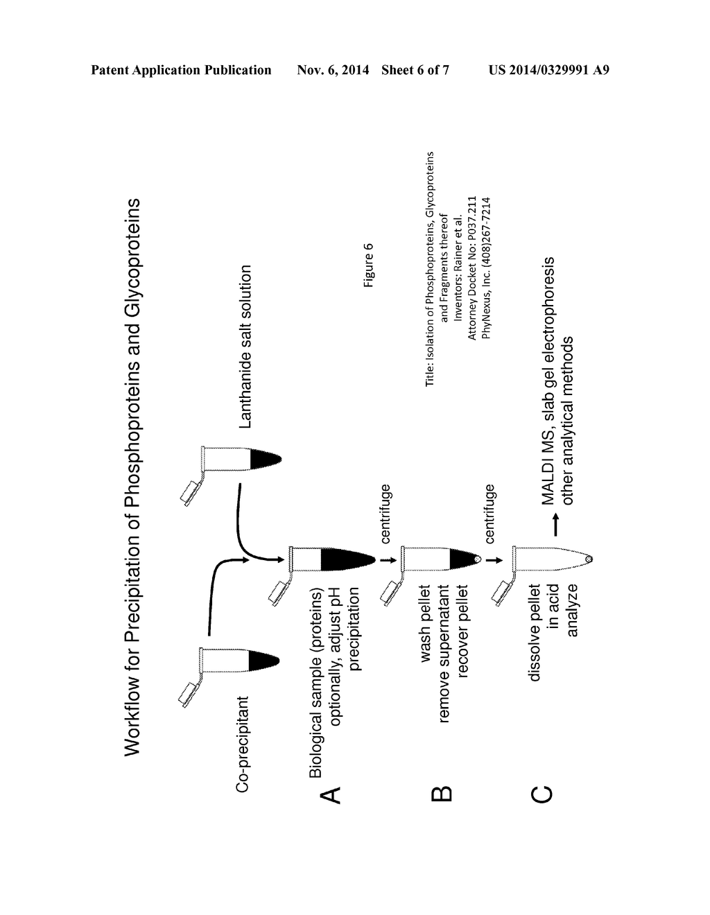 Isolation of Phosphoproteins, Glycoproteins and Fragments thereof - diagram, schematic, and image 07