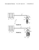 FLEXIBLE ENDOSCOPIC PROBE SYSTEM AND METHOD OF USING SAME diagram and image