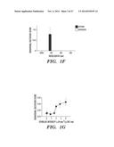 COMPOSITIONS AND METHODS FOR CONTROLLING NEURONAL EXCITATION diagram and image