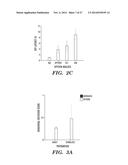 COMPOSITIONS AND METHODS FOR CONTROLLING NEURONAL EXCITATION diagram and image