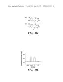 COMPOSITIONS AND METHODS FOR CONTROLLING NEURONAL EXCITATION diagram and image