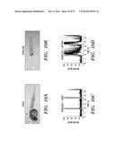 COMPOSITIONS AND METHODS FOR CONTROLLING NEURONAL EXCITATION diagram and image