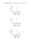 COMPOSITIONS AND METHODS FOR CONTROLLING NEURONAL EXCITATION diagram and image