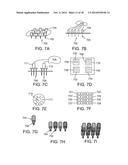 APPARATUS FOR STIMULATING HAIR GROWTH AND/OR PREVENTING HAIR LOSS diagram and image