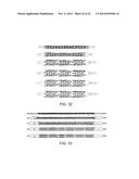 SEGMENTED SCAFFOLD DESIGNS diagram and image