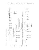 ANTIBODIES, VARIABLE DOMAINS & CHAINS TAILORED FOR HUMAN USE diagram and image