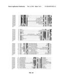 DOMINANT NEGATIVE MUTANT KRP PROTEIN PROTECTION OF ACTIVE CYCLIN-CDK     COMPLEX INHIBITION BY WILD-TYPE KRP diagram and image