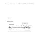 INFLUENZA HEMAGGLUTININ ANTIBODIES, COMPOSITIONS AND RELATED METHODS diagram and image